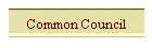 Common Council
