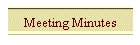 Meeting Minutes