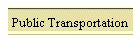 Public Transportation